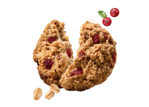 GRANOLA E FROLLA 100% VEGETALI CON AVENA, MIRTILLI ROSSI E COCCO